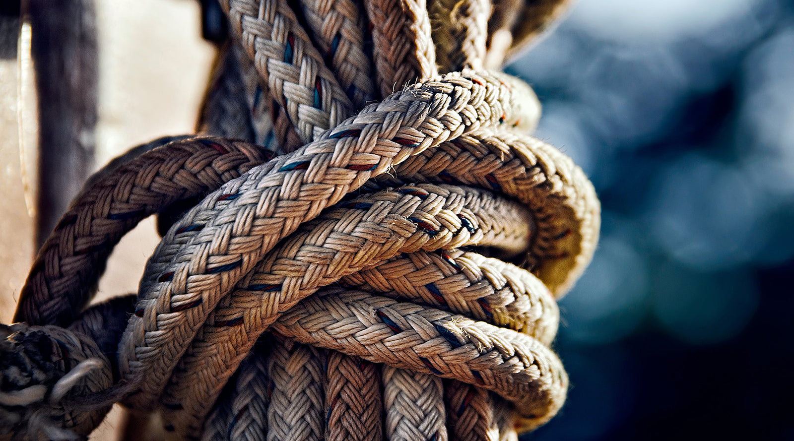 Your Field Guide to Knot Tying